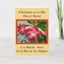 Suche nach felicidades karten Mother