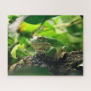 Suche nach niedlicher frosch puzzle Grünfrosch