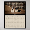 Suche nach männlicher hund poster Kaninchen