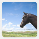 Suche nach weide aufkleber Natur