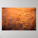 Suche nach mattierte kunst Winter