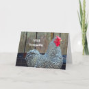 Suche nach gallus gallus Gallus gallus domesticus