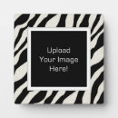 Suche nach zebra fotoplatten Tier