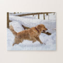 Suche nach golden retriever puzzle Tiere