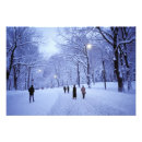 Suche nach schneebedeckte straße poster Kalt