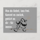 Suche nach zwergpudel postkarten Poodle