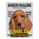 Suche nach cocker spaniel hund poster Hundefreund