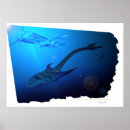 Suche nach shark poster Hai