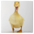 Suche nach kamera fliesen Tier