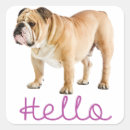 Suche nach englisch aufkleber Hund