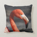 Suche nach rosa flamingo kissen Natur