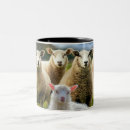 Suche nach flock tassen Schafe