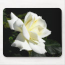 Suche nach weiße blüten mousepads Flora