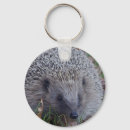 Suche nach säugetiere schlüsselanhänger Igel
