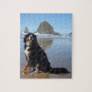 Suche nach bernese mountain dog puzzle Berner hund