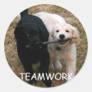 Suche nach teamwork aufkleber Labrador