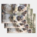 Suche nach koala geschenkpapier Tragen