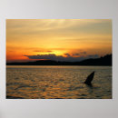 Suche nach reflektierend poster Wasser