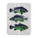 Suche nach für einen fischer magnete Steampunk