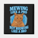 Suche nach funny cat magnete Lustige katze