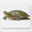 Suche nach gemalte mousepads Schildkröte