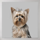 Suche nach yorki poster Wandkunst