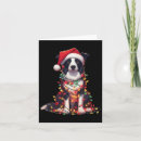 Suche nach border collie karten Spaß