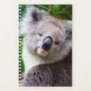 Suche nach koala büro zubehör Australien