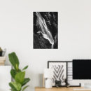 Suche nach schluchten poster Wasserfall