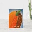 Suche nach kürbis karten Orange