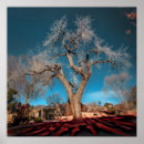 Suche nach roadster poster Rot