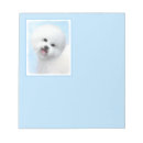 Suche nach frises Bichon frise