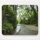 Suche nach farn mousepads Natur