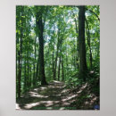 Suche nach waldplakat Holz