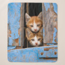 Suche nach vintage katze decken Tier