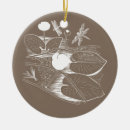 Suche nach libelle ornamente Wasser