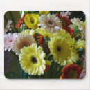 Suche nach roter gerbera elektronik zubehör Bouquet