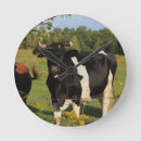 Suche nach stier wanduhren Kuh