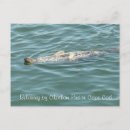 Suche nach siegel postkarten Landschaft