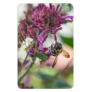 Suche nach grüne biene magnete Hummel