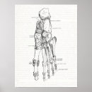 Suche nach vintage anatomie kunst poster Knochen
