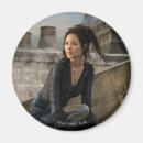 Suche nach der dachs magnete Sonnenuntergang