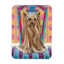 Suche nach yorkie magnete Haustiere