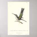 Suche nach vogelkunde poster Natur