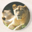 Suche nach afrika untersetzer Safari