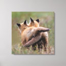 Suche nach niedlicher fuchs leinwandbilder Natur