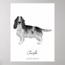 Suche nach cocker spaniel poster Hund