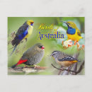 Suche nach australischer vogel postkarten Tierwelt