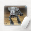 Suche nach pitbulls mousepads Pillbulle