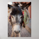 Suche nach allende poster Don paulson